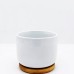 Garden Plant Pot Flower Cactus Succulents for Sublimation Heat Pressing