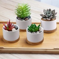 Garden Plant Pot Flower Cactus Succulents for Sublimation Heat Pressing Garden Plant Pot Flower Cactus Succulents for Sublimation Heat Pressing