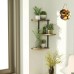 12pcs Ceramic Tile Round Hanging Decoration for Sublimation Printing with Cork base and String 12pcs Ceramic Tile Round Hanging Decoration for Sublimation Printing with Cork base and String