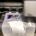 PREMIUM DTF Dual Head Printer XP600 - A3 *30CM* Direct to Transfer Film Solution