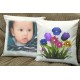 Cushion and Pillows Cushion and Pillows